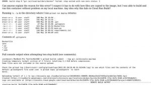 build step 0 "gcr.io/cloud-builders/docker" failed: step exited with non-zero status: 1