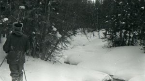 Опять ручей