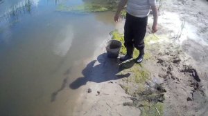 Рыбалка кастинговой сетью на Хопре.