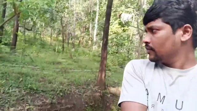 Gliricidia plant usage for fancing#slovakia #usa #live #glitch#gliricidia#fertilizer #fencing смотреть онлайн