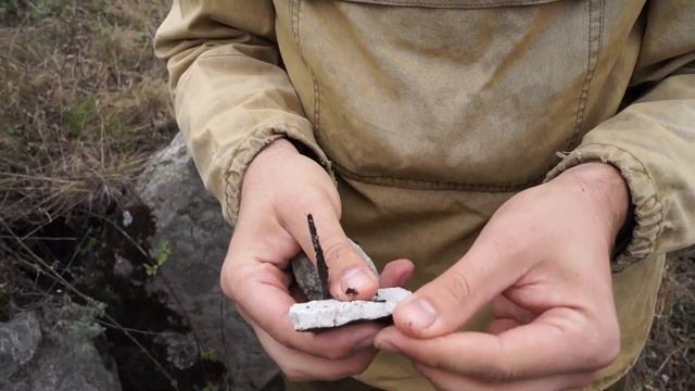 "Каменный лес" - Верейка смотреть онлайн