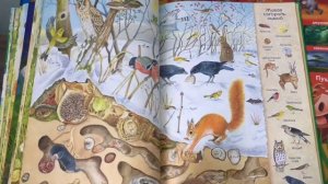 Виммельбух. Большая книга о природе