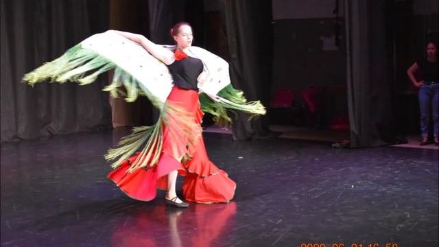 Визитная карточка образцового коллектива студии танца 