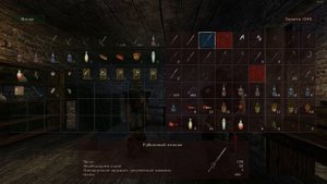 Gothic II: Night of the Raven | Глава 2.3: "Возвращение в колонию" | ИГРОФИЛЬМ