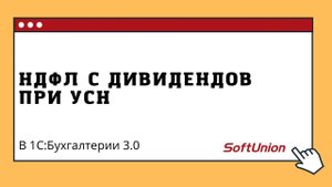 НДФЛ с дивидендов при УСН в 1С:Бухгалтерии 3.0