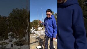 ?РАСТЕНИЯ НА ШТАМБЕ ?Своими руками? автор Ева. ВКонтакте @club211417336