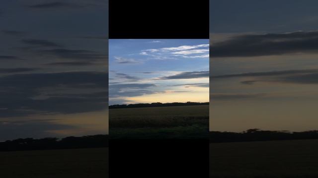 Дорога домой