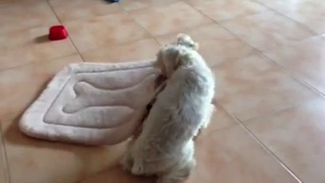 Уборка собственного дома смотреть онлайн