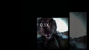 куда я жмал