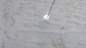 поводки с крючками не запутаются.mp4