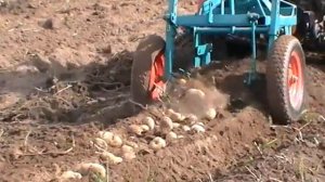 Картофелекопалка ККМ-3 и МТЗ-132