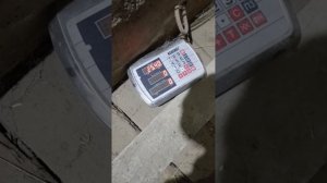 откорм овец. привесы.