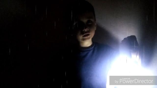 Валентин Берестов. Ночью во мраке.