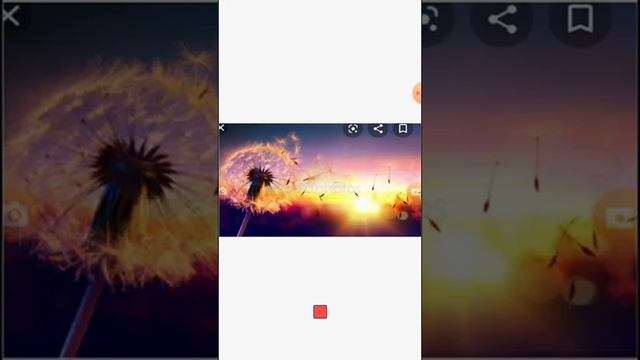 Красивые картинки????? смотреть онлайн
