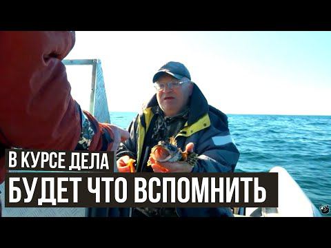 Будет что вспомнить // В курсе дела