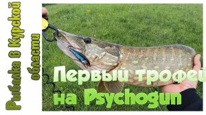 Первый трофей на Pontoon 21 Psychogun. Щука на Gad Gosh и окуни на Gad Footsie