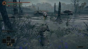 Земляные брызгуны Elden Ring ЯД