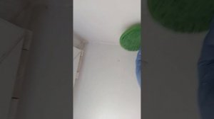 как убрать следы скотча с пластика без химии...Диск Инволвер творит чудеса.