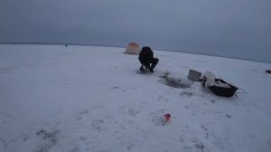 ЛОВЛЯ ЛЕЩА на водохранилище  2