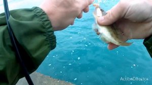 Рокфишинг на Чёрном море. Карась, горбыль, ерш, барабулька. Микроджиг, Berkley, Marukyu