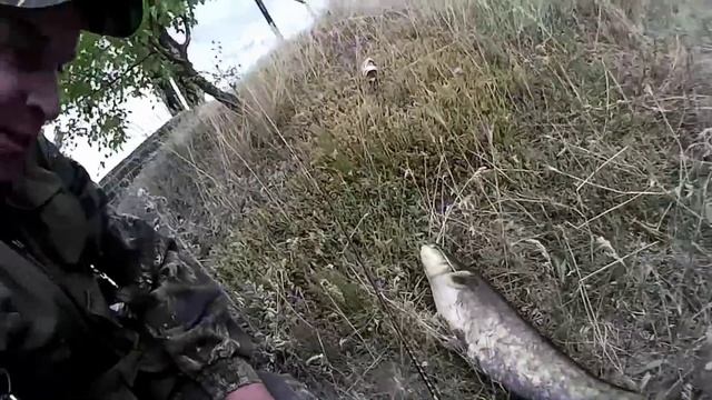 Рыбалка на реке с берега ловля на спиннинг сома судака леща бычка на ультралайт микроджиг видео