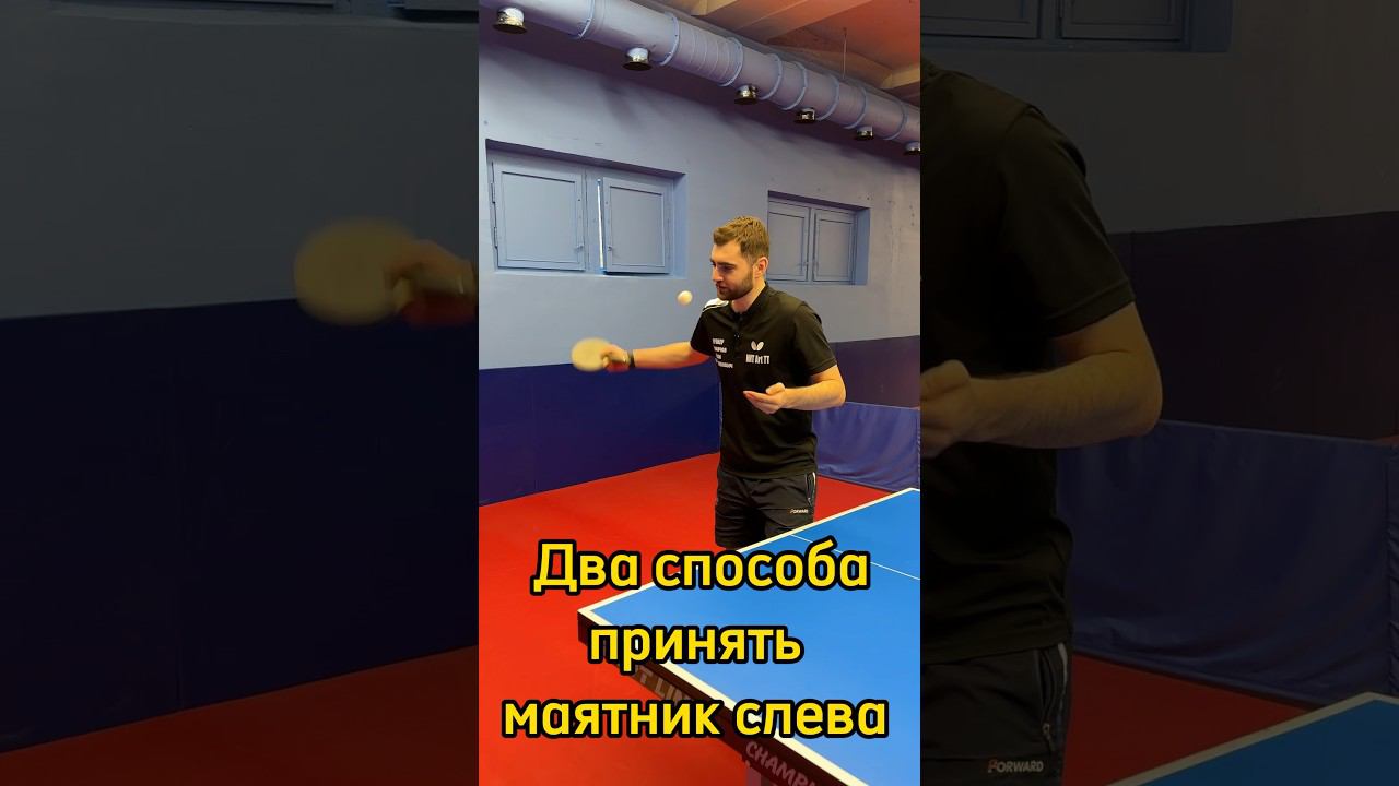 Как принять маятник слева? 2 способа приема подачи. #настольныйтеннис #pingpong ##shorts смотреть онлайн