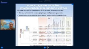 Михаил Никитин. Лекция 12. Происхождение эукариотной клетки.