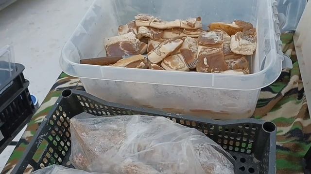 Суббота 26 ноября/Рынок/Зарабатываем как можем!