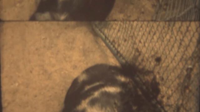 8mm smalfilm digitaliseret смотреть онлайн