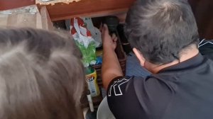 Как достать серьгу из раковины сифона.