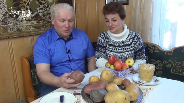 Новые вкусные сорта картофеля смотреть онлайн