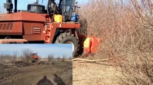 Сравнение раскорчевки лесной фрезой Seppi и бульдозера