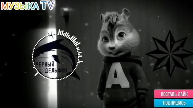 Бурундуки "черный дельфин" смотреть онлайн