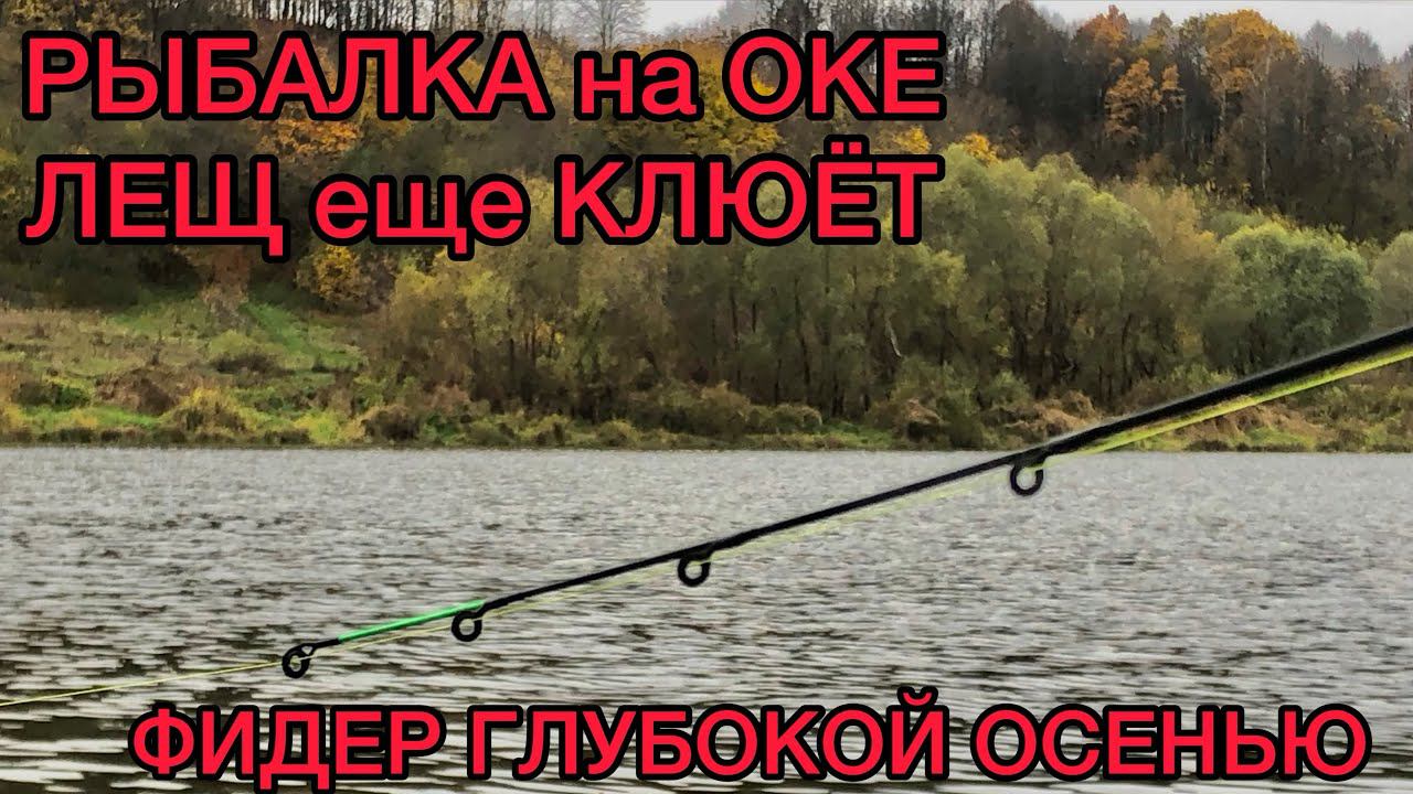 РЫБАЛКА на ОКЕ глубокой ОСЕНЬЮ / ЛЕЩ КЛЮЁТ И КОРМИТСЯ смотреть онлайн