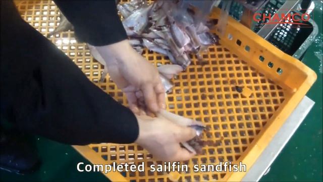 Филетировочная машина для мелкой рыбы: анчоус, мойва, килька, хамса, иваси и пр. Модель CHFK-1 Коре смотреть онлайн