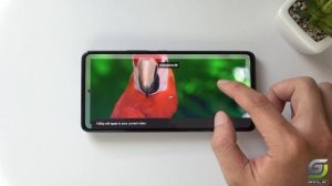 Samsung Galaxy A53 5G Unboxing | Hands-On, Design, Unbox, Set Up new, AnTuTu Benchmark, Camera Test