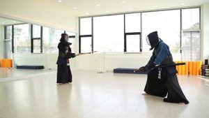 KENJUTSU vs KENDO