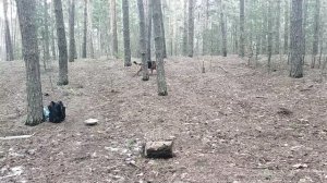 АППОРТ на точке