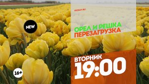 Орел и решка. Перезагрузка. Амстердам. Вторник 19:00