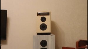 Трехполосная система моноблок. Триампинг с цифровым делением частот с помощью автомагнитолы Аура DS