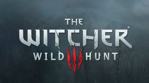 Ведьмак 3 прохождение The Witcher 3 Дикая охота часть #5.1