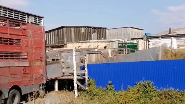 Жизнь дальнобойщика// Россия - Узбекистан // Часть 1