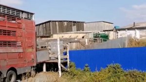 Жизнь дальнобойщика// Россия - Узбекистан // Часть 1