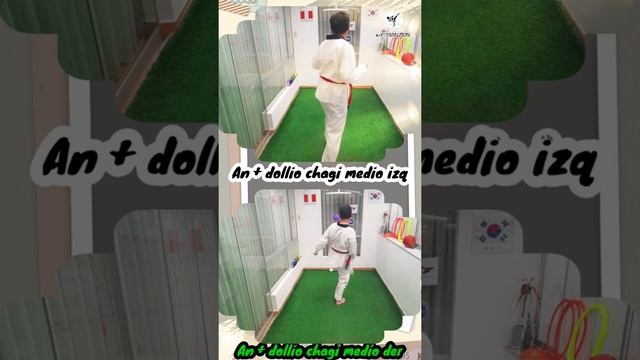 Taekwondo Patadas Como hacer el An y Dollio Chagui