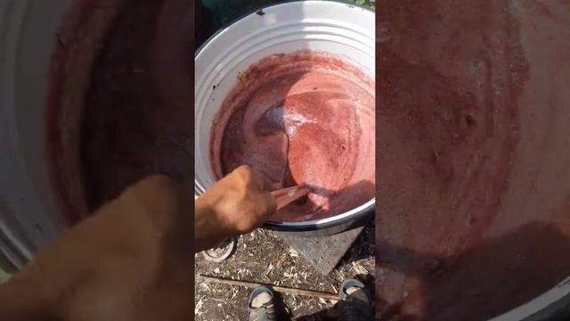 как приготовить клубничный джем!!!! смотреть онлайн