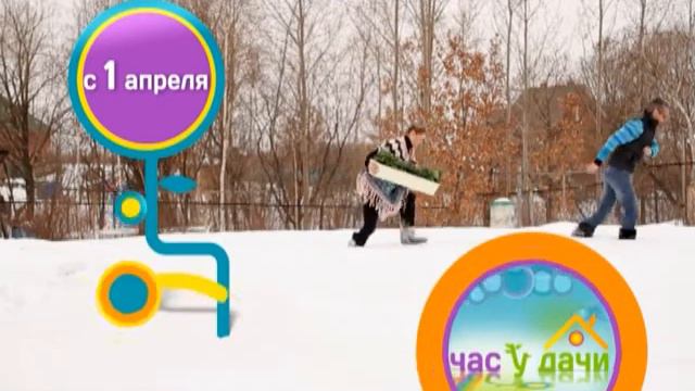 Дача без спонсора смотреть онлайн