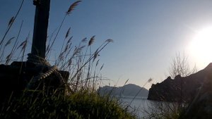 Варганы Дан мои трёх видов