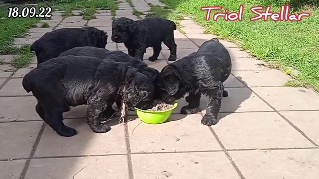 20 сентября 2022 г. смотреть онлайн