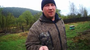 Иркутская обл Пасека_ не погода  мешает пчелам-Пчелы роятся -Канал для любителей пчел.