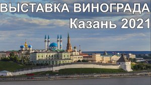 Межрегиональная выставка винограда в Казани 12 сентября 2021 года.